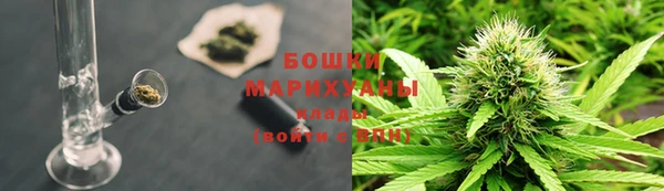прущая мука Нея