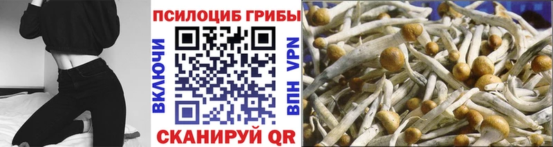 Псилоцибиновые грибы мухоморы  цены наркотик  Озёры 